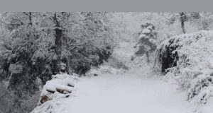 Alerten sobre els efectes de les nevades i el risc d’allaus a les carreteres de Catalunya
