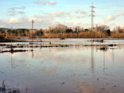 Unió de Pagesos exigeix al Govern que millori el manteniment de les rieres del Baix Empordà per combatre les inundacions