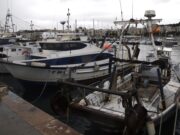 Els pescadors amarren les barques i fan vaga en contra de la burocràcia i la normativa europea