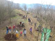 El Festival Sismògraf impulsa una acció ecològica amb la plantació d’arbres
