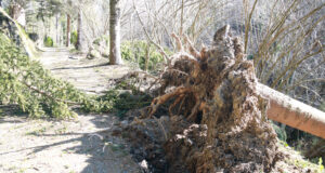 Protecció Civil alerta d’un diumenge amb ratxes generalitzades de vent superiors als 90 km/h a la meitat nord