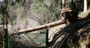 Desactivades les alertes pel temporal de vent i onatge, que va deixar ratxes de prop de 170 km/h aquest diumenge