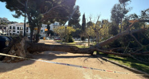 Els Bombers de la Generalitat reben uns 170 avisos per la ventada, el 90% a la demarcació de Girona