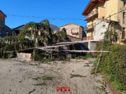 Ensurt a la Vall d’en Bas: un arbre cau per la ventada i obliga a actuar d’urgència a tocar d’Olot