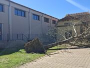 Un arbre caigut sobre una línia d’alta tensió deixa 2.900 clients sense subministrament al Ripollès