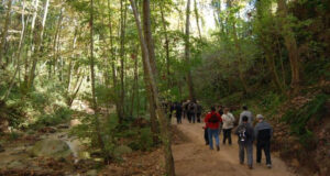 Diverses activitats per explorar el Montseny al llarg de l’any