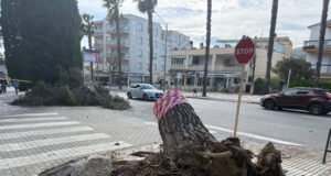 La ventada deixa un balanç de 48 arbres arrancats a Platja d’Aro