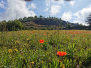 L’Espai Cràter engega la temporada de primavera amb una oferta d’activitats per a tots els públics
