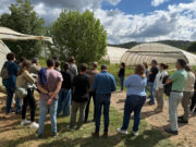 Ordeig vol augmentar l’agricultura i la ramaderia ecològiques ampliant els dinamitzadors i conscienciant els consumidors