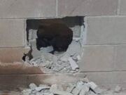 Quatre empreses afectades per una nova onada de robatoris a Begudà