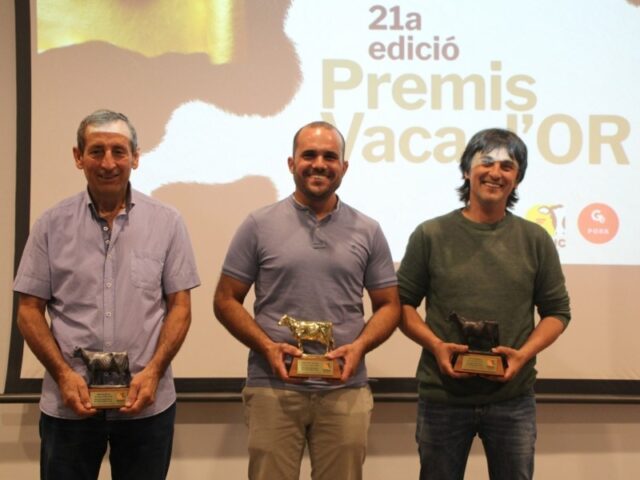 noticia_1781256263.jpg