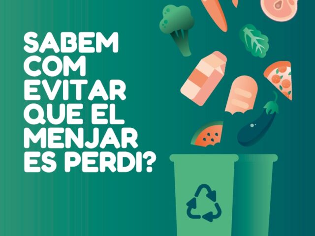 noticia_1784110439.jpg